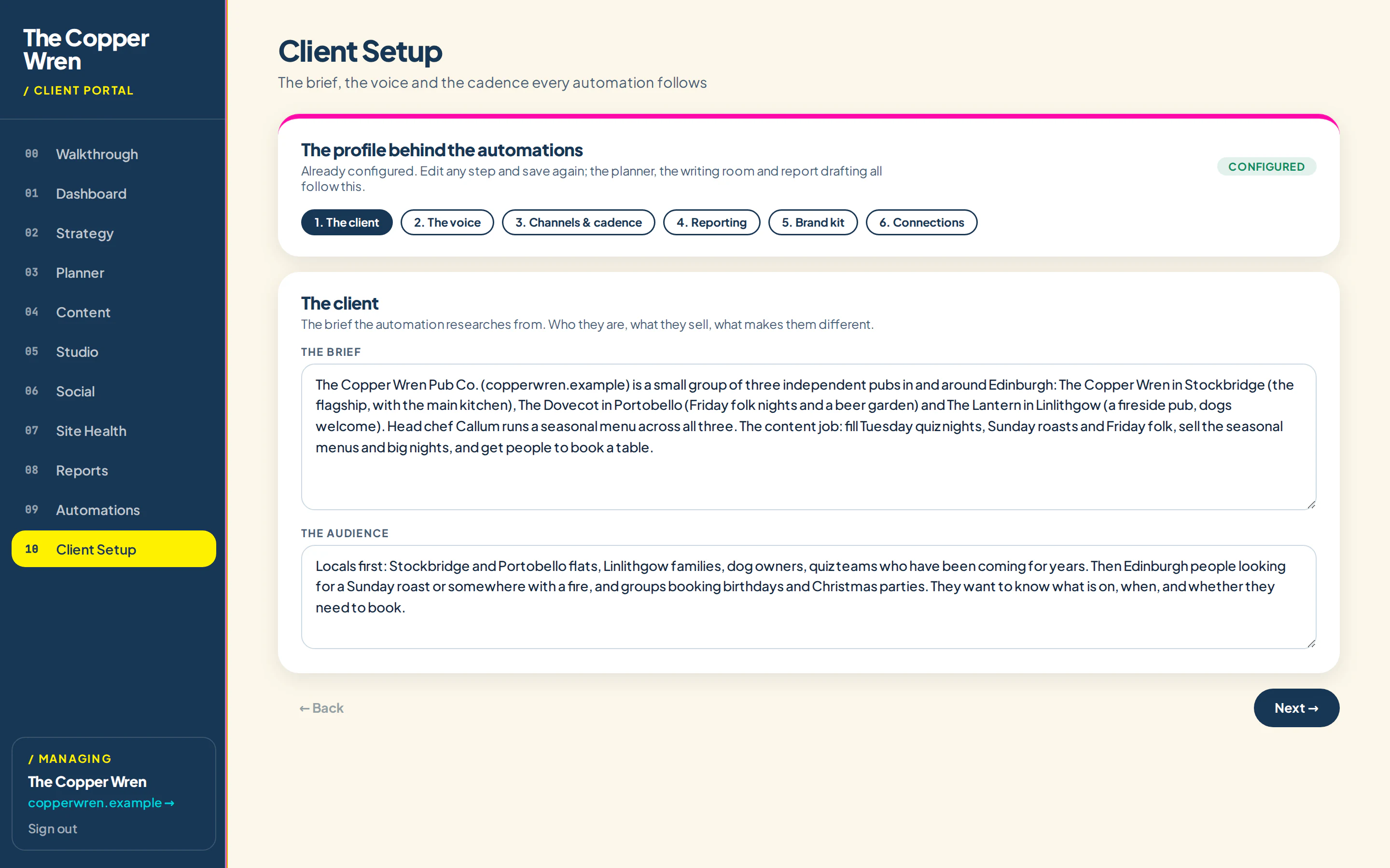 Client Setup with the business brief and audience filled in